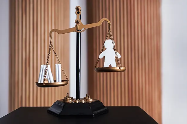 AI in the Legal System